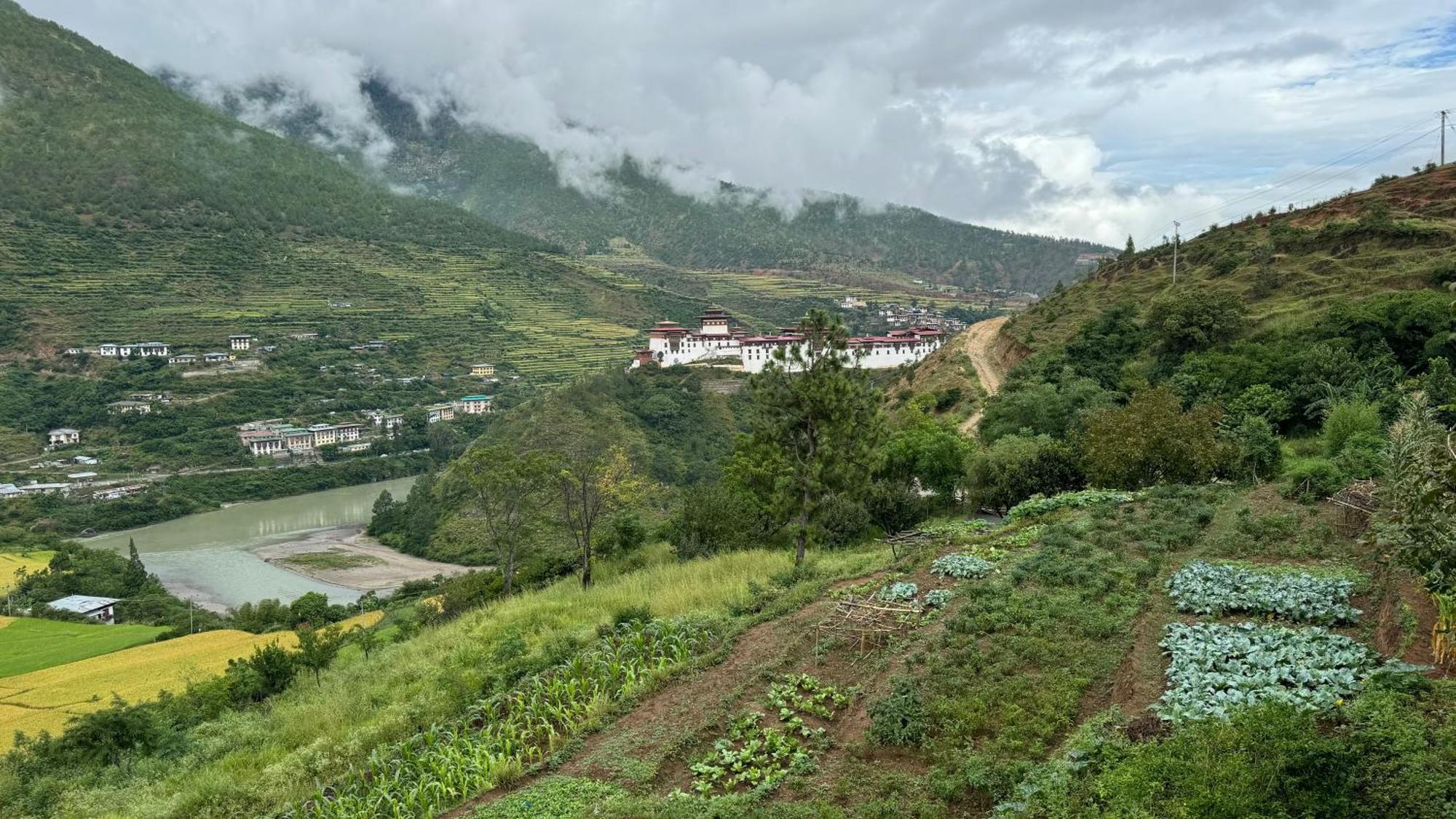 Wangdue Ecolodge Wangdue Phodrang Dış mekan fotoğraf