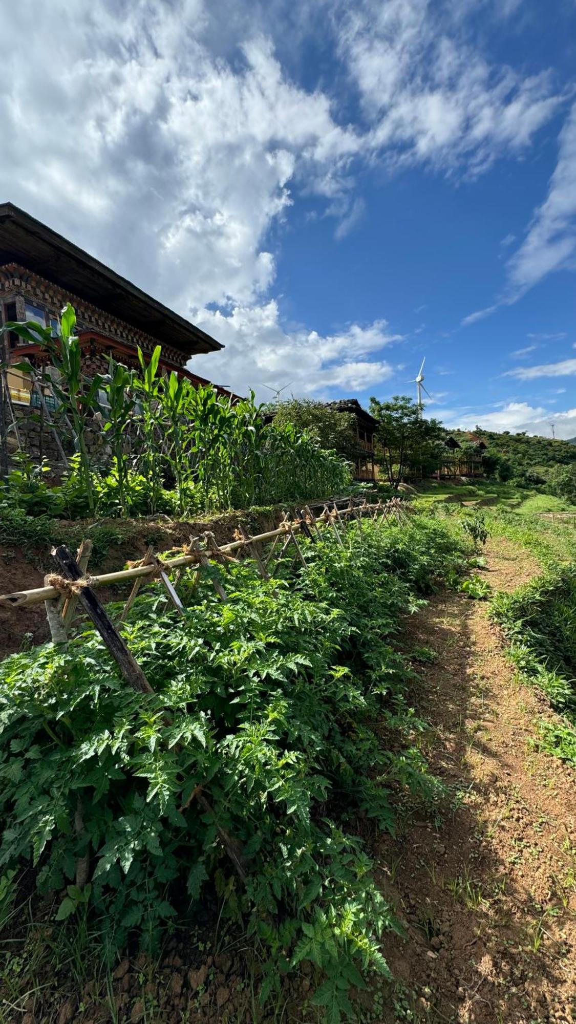 Wangdue Ecolodge Wangdue Phodrang Dış mekan fotoğraf