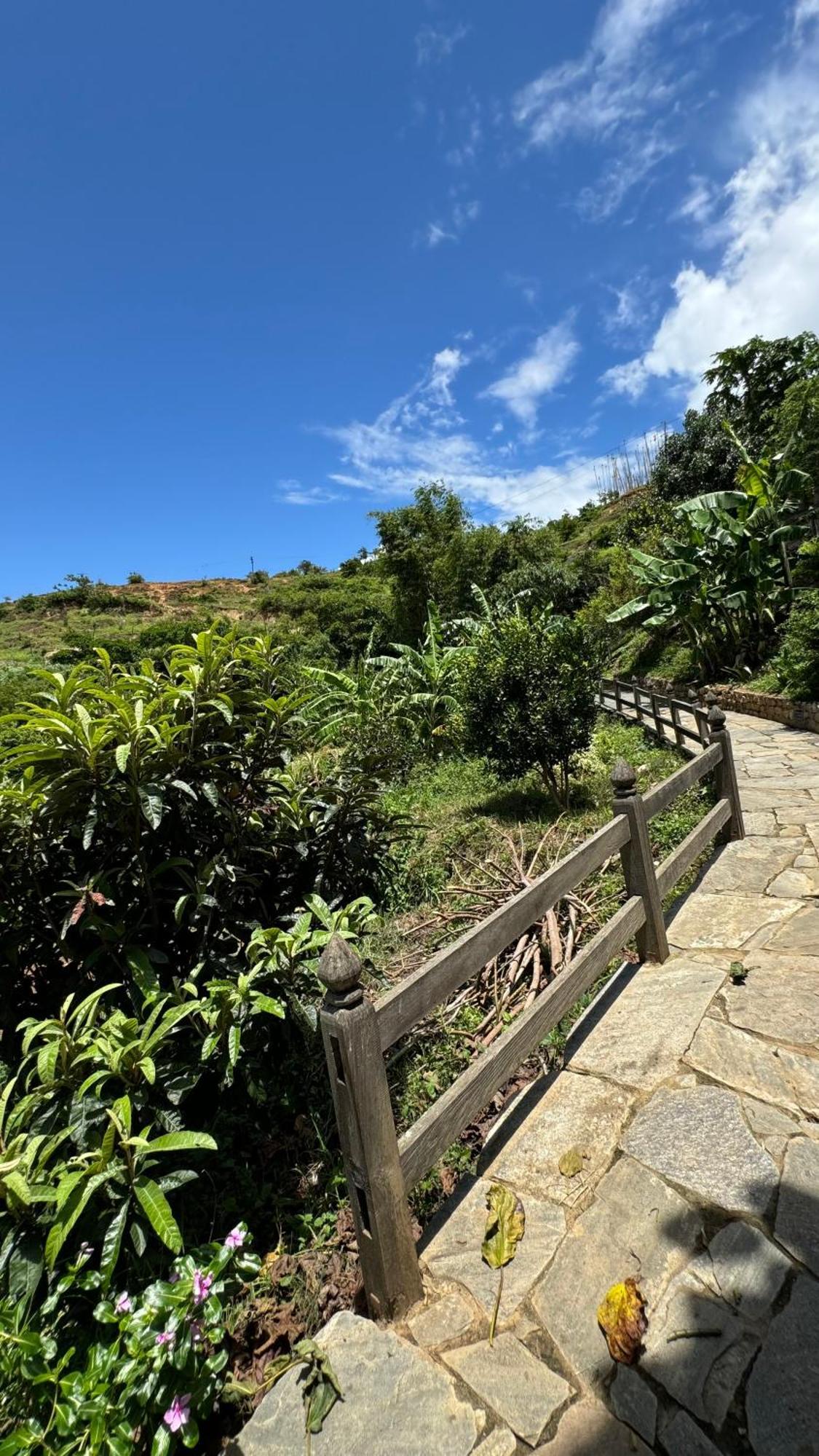 Wangdue Ecolodge Wangdue Phodrang Dış mekan fotoğraf
