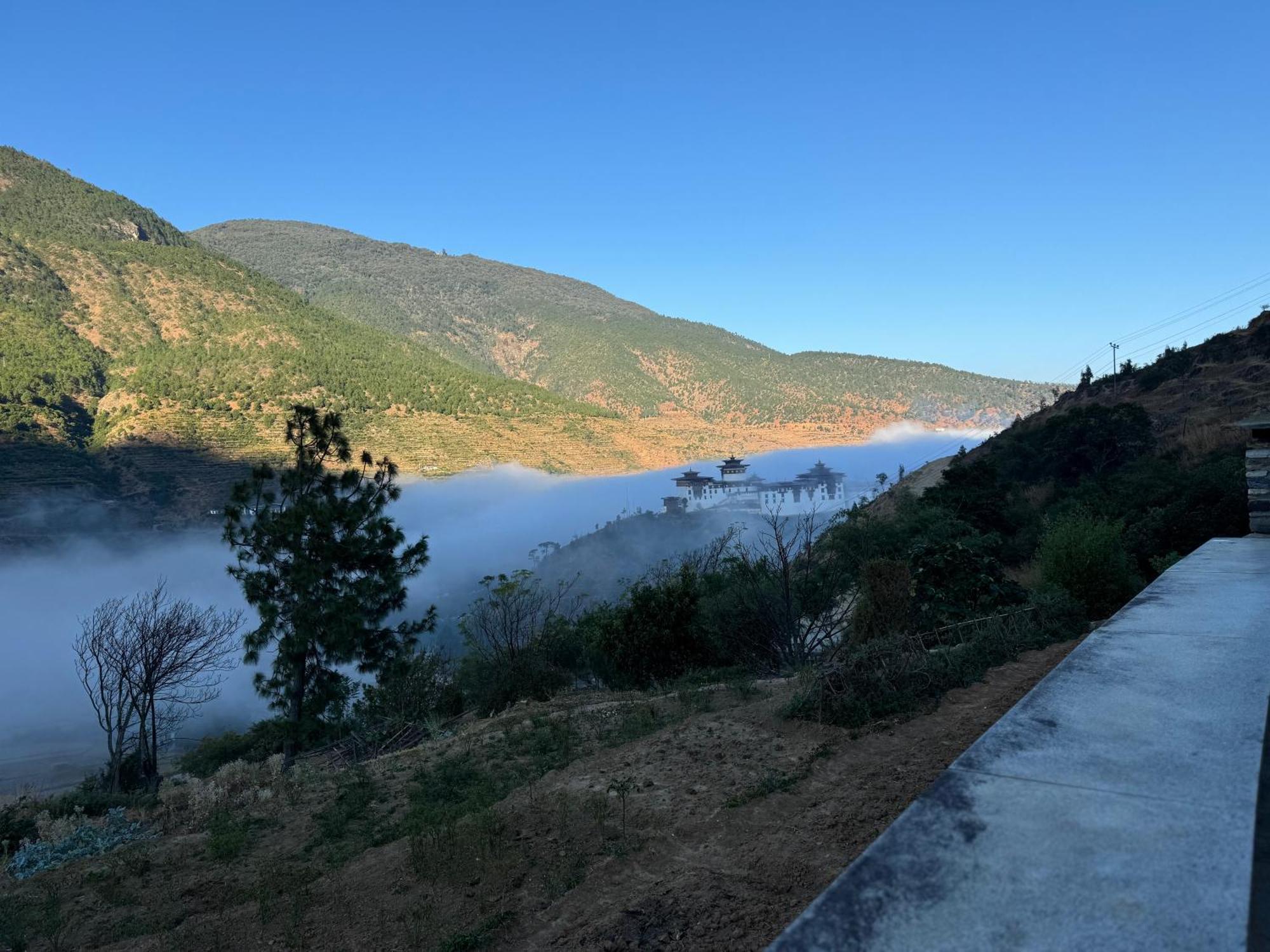 Wangdue Ecolodge Wangdue Phodrang Dış mekan fotoğraf